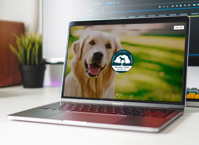 Business Website